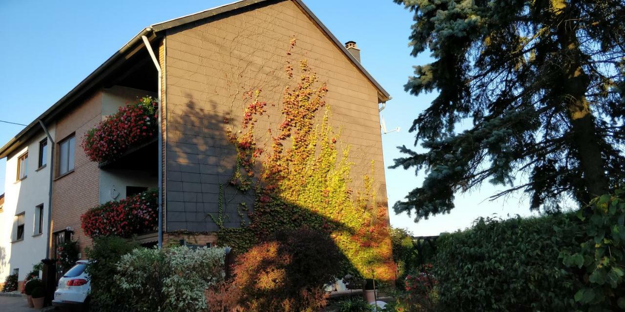 Ursula'S Ferienwohnung Marpingen Buitenkant foto